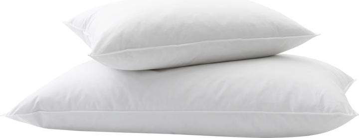 Image du produit Billerbeck Standard 250 (50 x 90 cm)