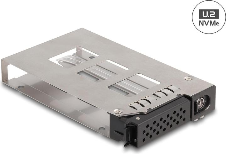 Actual product image Delock Removable frame slot for 1 x 2.5? U.2 NVMe SSD for removable frame 47005 / 47011