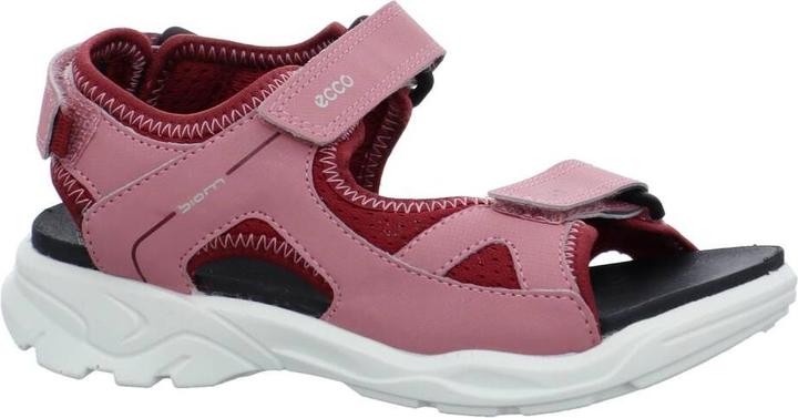 Ecco Biom Raft