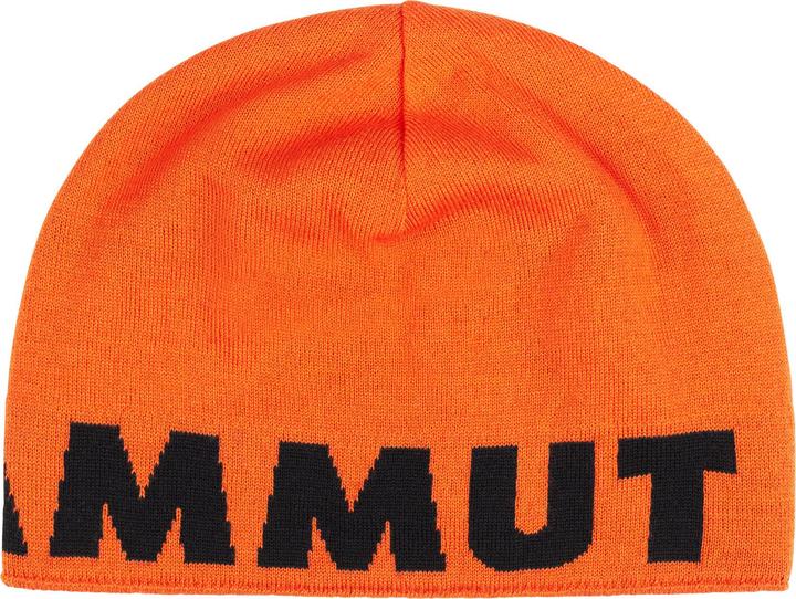 Produktbild Mammut Logo Beanie (One Size)