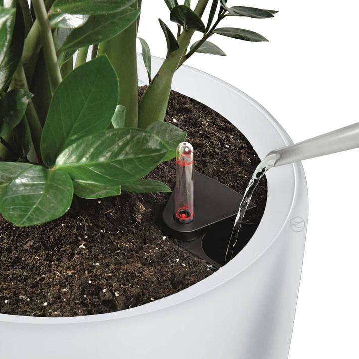 Actual product image Lechuza Rondo (40 cm)