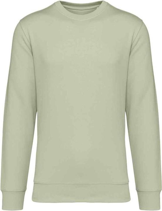 Native Spirit Sweatshirt Rundhalsausschnitt