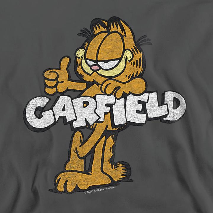 Immagine prodotto Garfield Garf Felpa Retrò Adulto Unisex (L)