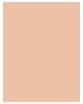 Produktbild Sensai Cellular Performance Cream Foundation (CF12 SOFT BEIGE)