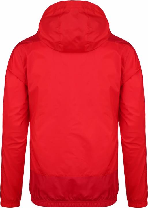 Actual product image Puma teamGoal 23 rain jacket men (M)