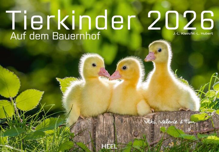 Actual product image Tierkinder auf dem Bauernhof Kalender 2026 (Hardcover, German)