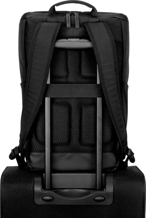 Immagine prodotto Johnny Urban Gaspare (20 l)