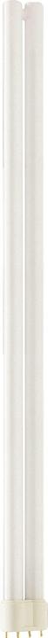 Immagine prodotto Philips PL-L 40 Watt 840 bianco neutro 4P 2G11 - 40W (2G11, 40 W, 3500 lm, 1 x, G)
