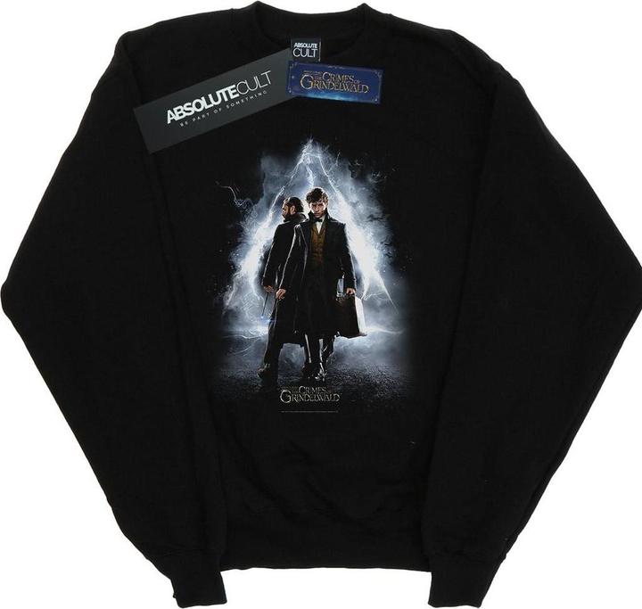 Fantastic Beasts Newt And Dumbledore Poster Sweatshirt Jungen
