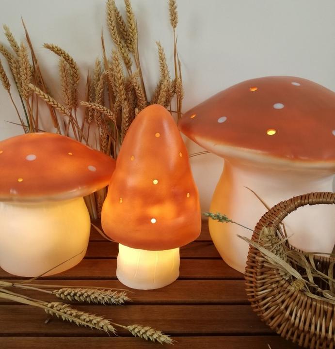 Actual product image Egmont Mushroom