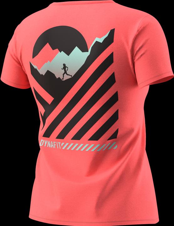 Actual product image Dynafit 24/7 Graphic T-Shirt (M)