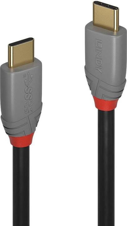 Productafbeelding Lindy Anthra Lijn (0.50 m, USB 3.1, 20 W)