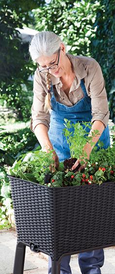 Actual product image Keter Easy Growing