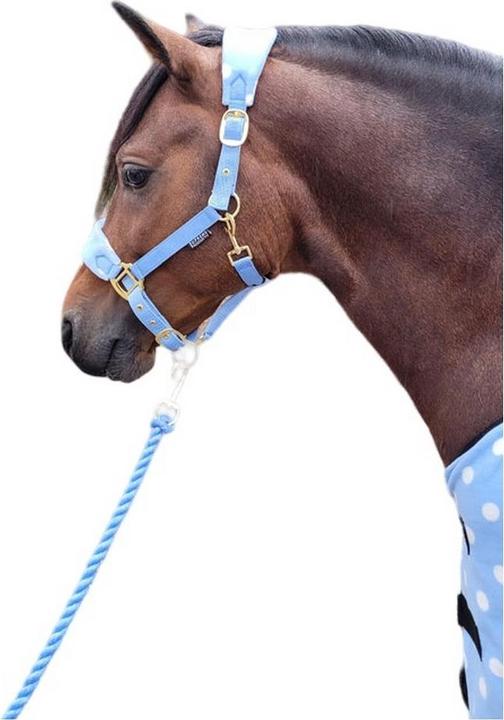 Actual product image Supreme Products Dotted Fleece Horse Headcollar and Leadrope