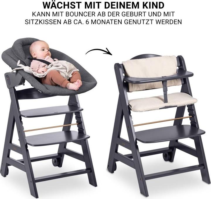 Produktbild Hauck Beta Plus Set Premium (Hochstuhl)