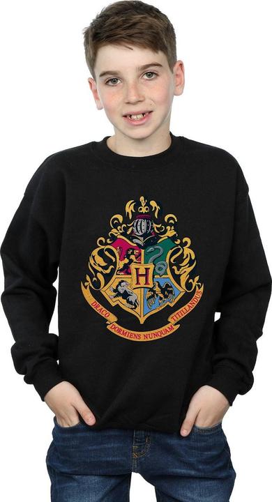 Immagine prodotto Hogwarts Crest Gold Ink Felpa Ragazzi (140, 146)