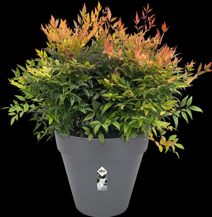 Actual product image Elho Loft Urban (38.50 cm)