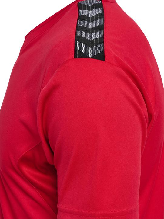 Image du produit hummel Hmlauthentic Pl Jersey S/S (L)