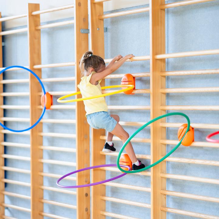 Produktbild Spordas Reifenhalter für Sprossenwände WalliBari