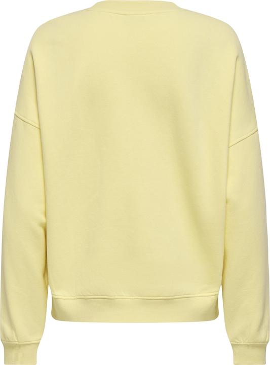 Immagine prodotto JdY Jdymesa L/S O-Neck Emb Sweat Jrs Noos (XL)