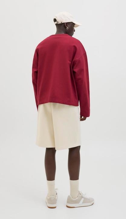Image du produit Jack & Jones Jordia Sweat Crew Neck Ss25 (S)