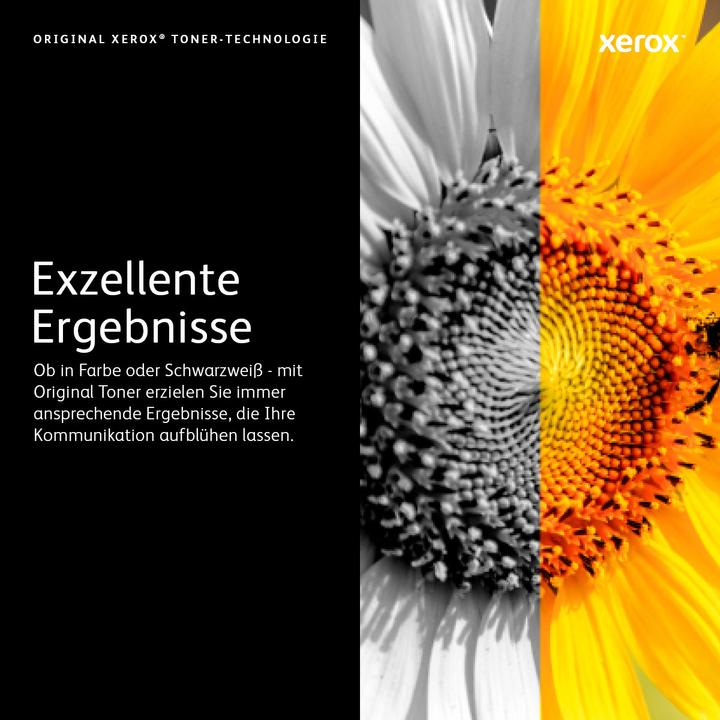 Immagine prodotto Xerox 106r02245 (C)