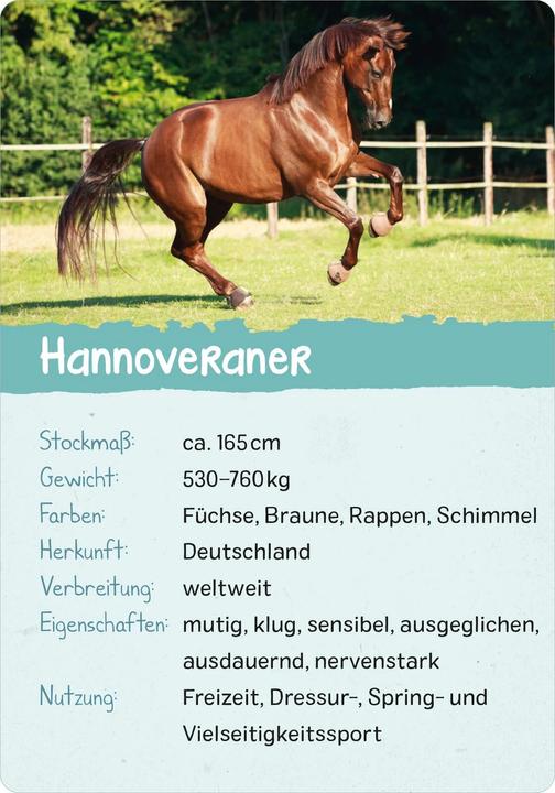 Produktbild Naturforscher-Kids – Pferde & Ponys (Deutsch, Miriam Scholz, 2024)