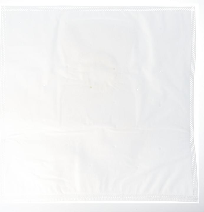 Image du produit AccuCell 10 Staubsaugerbeutel für Staubsauger Vorwerk Tiger (10 x)