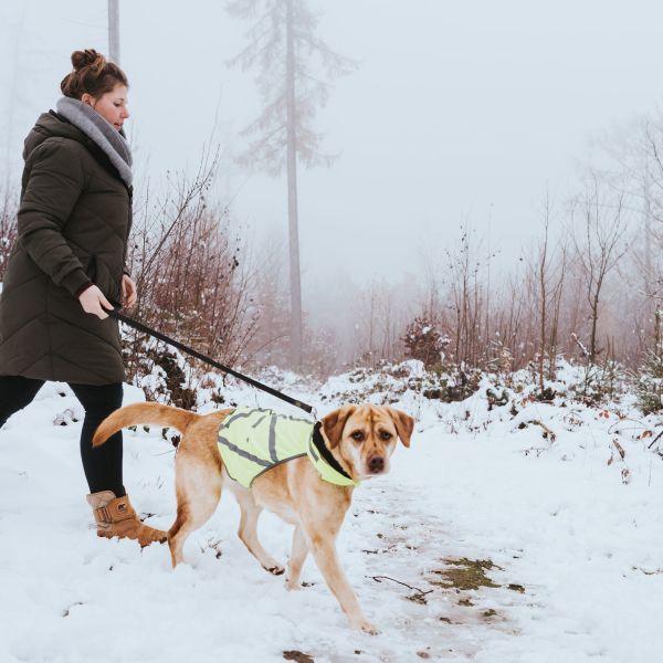 Produktbild Hunter Warnweste reflektierend (S, Hundemantel)