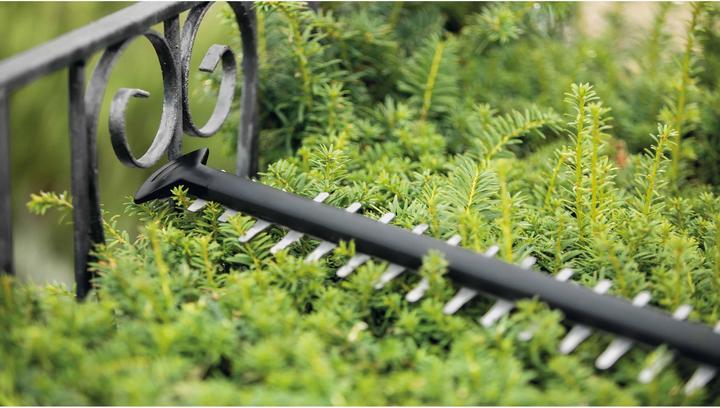 Produktbild Bosch Home & Garden Heckenschere UniversalHedgeCut 50 (Elektroheckenschere)