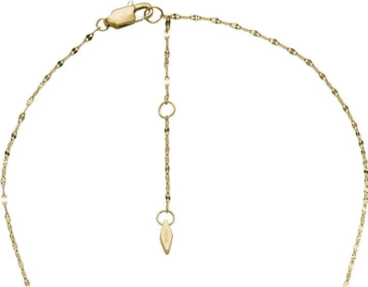 Immagine prodotto Fossil Gioielli Collana (Acciaio inossidabile, 42 - 47 cm)