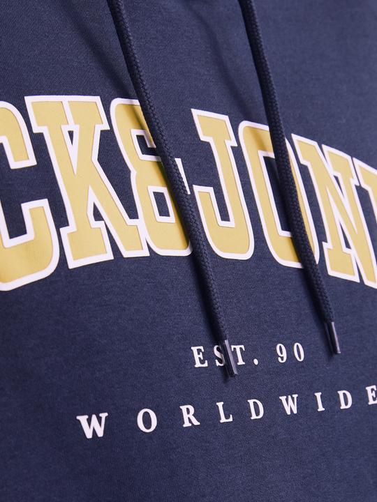 Actual product image Jack & Jones Jjecaleb Varsity Sweat Hood Noos Pls (7XL)