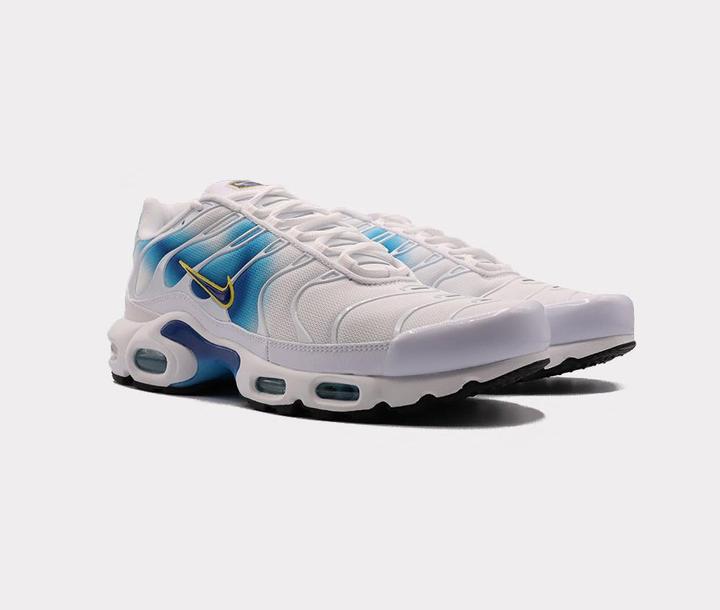 Actual product image Nike Air Max Plus (40)