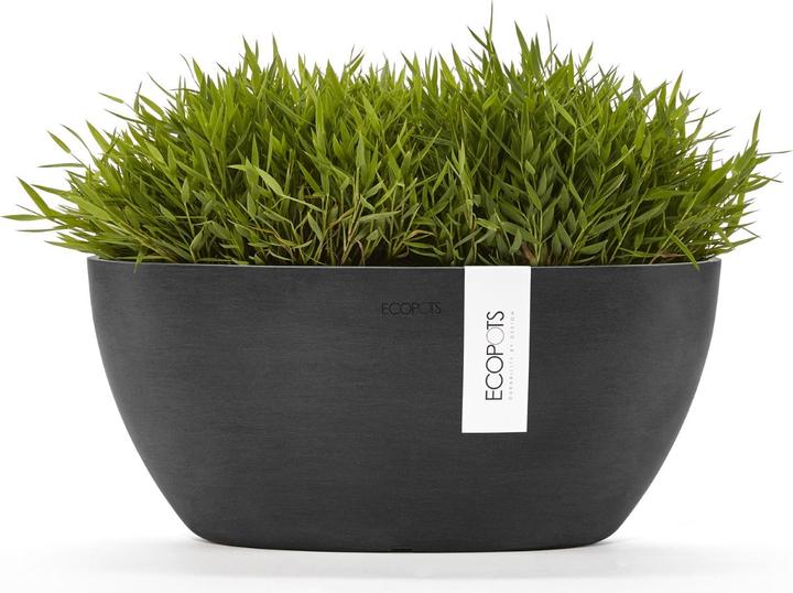 Produktbild Ecopots Sofia (13 cm)