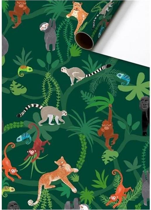 Image du produit Stewo Lauro (Papier cadeau, 1 x)
