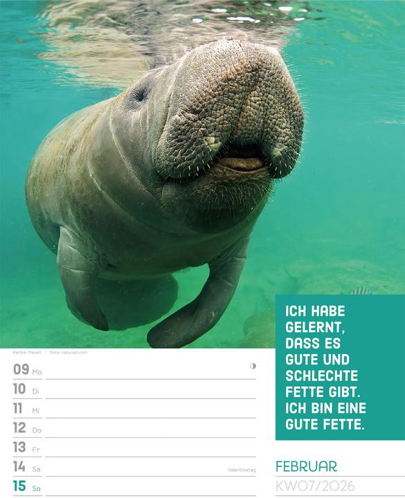 Produktbild Tierisch! Sprüchekalender - Wochenplaner Kalender 2026 (25 x 33 cm, Harter Einband, Deutsch)