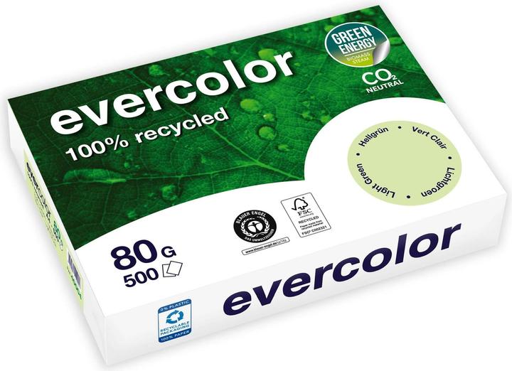 Clairefontaine Papier recyclé Evercolor vert clair DIN A4 80 g/qm 500 feuilles (80 g/m², A4)