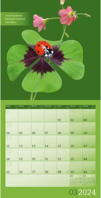 Produktbild Alles wird gut! Kalender 2024 - 30x30 (30 x 30 cm, Deutsch)