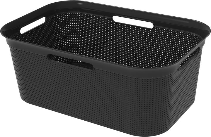 Rotho Breezes (41 l)