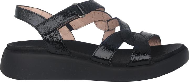 Actual product image Wonders Cordelia (41)
