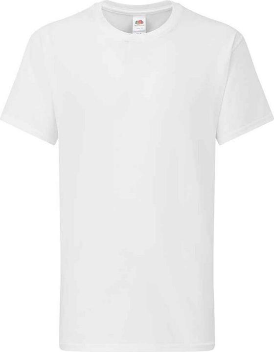 Fruit of the Loom Iconic 195 Premium TShirt