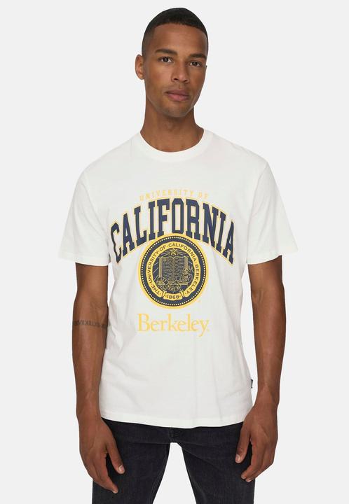 Actual product image Only & Sons Print T-Shirt (L)