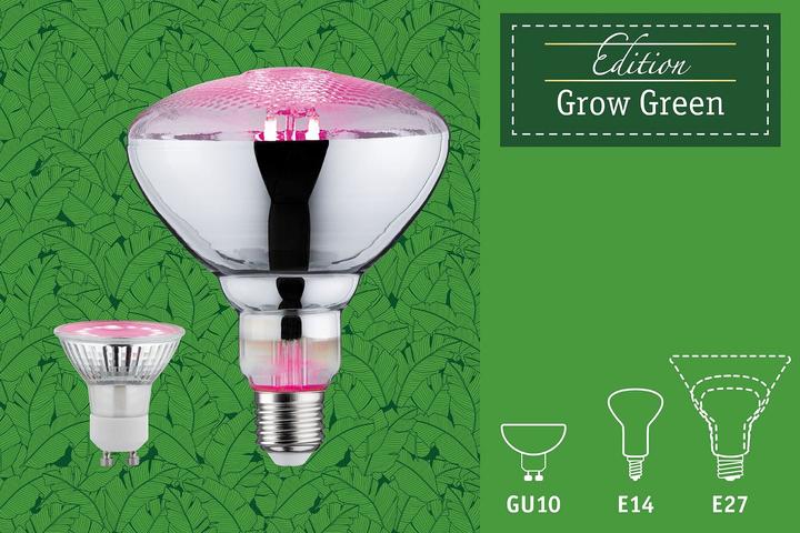 Image du produit Paulmann Lampe pour plantes Grow Green PAR38 (LED, 230 V)