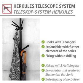 Actual product image Wenko Triple hook HERKULES 2 pcs
