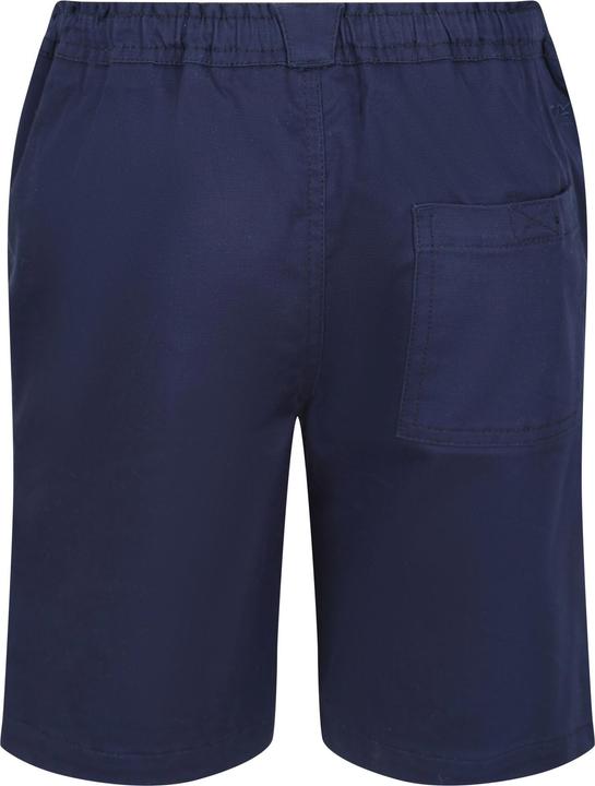 Actual product image Regatta Alber Shorts (146)