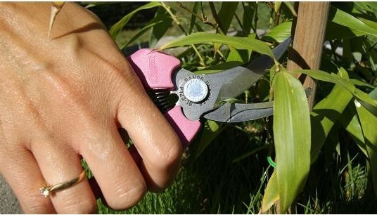 Produktbild Bahco Gartenschere Rainbow Pink
