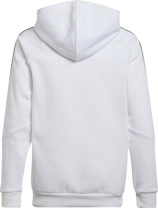Actual product image adidas TIRO24 SWHOOD Y (176)