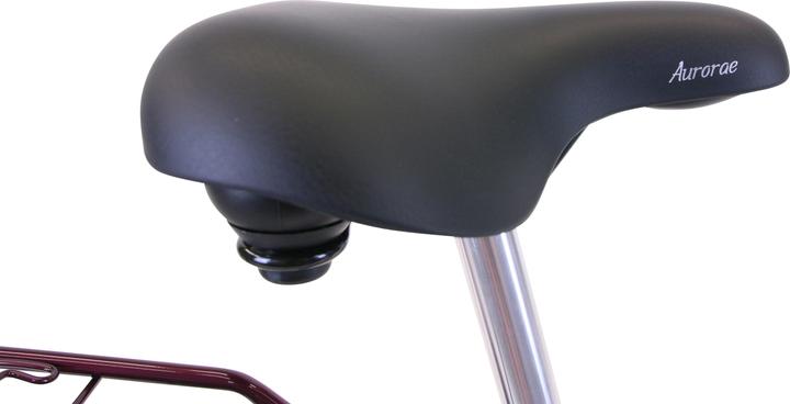 Actual product image Hawk City Classic Joy (48 cm)