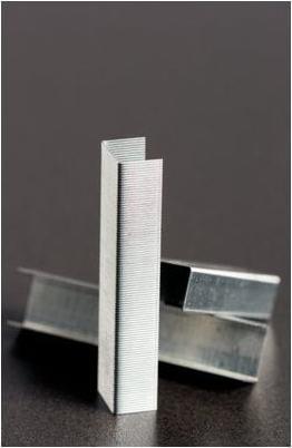 Immagine prodotto Rapid Standard (1000 x)