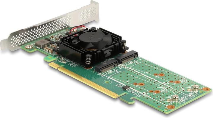 Actual product image Delock Host Bus Adapter PCI Express x16 - 4x NVMe M.2 Key M